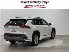 RAV4 G