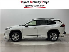 RAV4 G