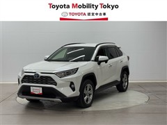 RAV4 HV G