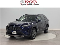ＲＡＶ４