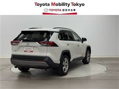 RAV4 G