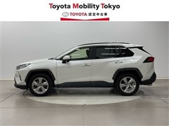 RAV4 G