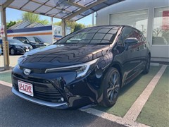 カローラツーリング HV WxB