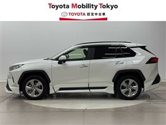 RAV4 G