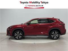 NX300h Fスポーツ