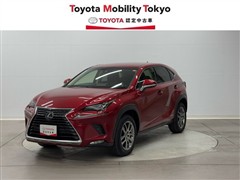 NX300h バージョンL