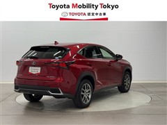 NX300h バージョンL