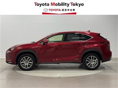 NX300h バージョンL