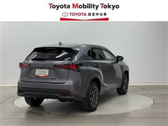 NX300h クール&ブライト