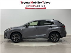 NX300h クール&ブライト