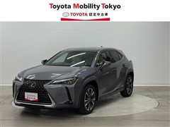 UX250h バージョンL