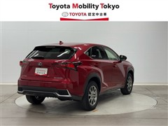 NX300h Iパッケージ