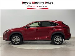 NX300h Iパッケージ