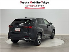 NX300h バージョンL