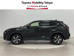 NX300h バージョンL