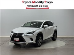 NX300h バージョンL