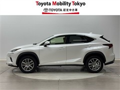 NX300h バージョンL