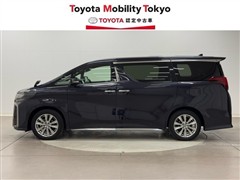 アルファードSタイプゴールド2