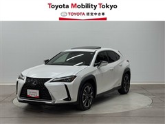 UX250h バージョンL