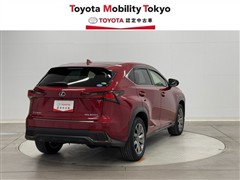 NX300h Fスポーツ