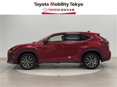 NX300h Fスポーツ