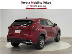 NX300h