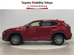 NX300h