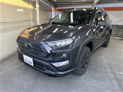 RAV4アドベンチャーオフロード2