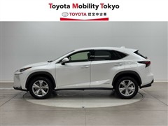 NX300h バージョンL