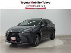 NX250 バージョンL