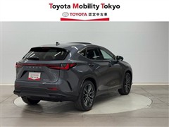 NX250 バージョンL