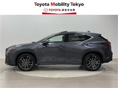 NX250 バージョンL