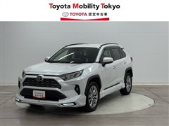 RAV4 G Zパッケージ