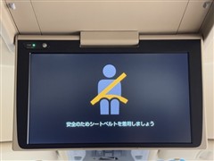 アルファード X