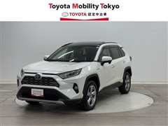 ＲＡＶ４