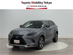 レクサス NX300 スパイス&シック
