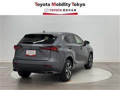 NX300 スパイス&シック