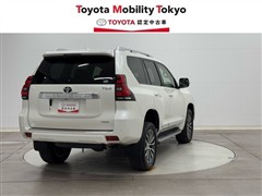ランクルプラド TZ-G