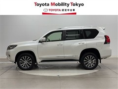 ランクルプラド TZ-G