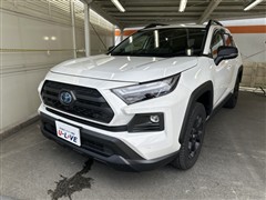 トヨタ RAV4 HV ADオフロードPKG2