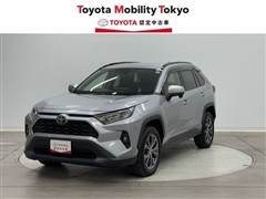 RAV4 X