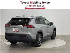 RAV4 X