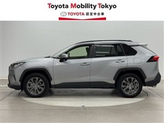 RAV4 X