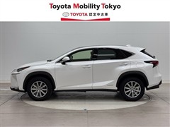 NX300h Iパッケージ