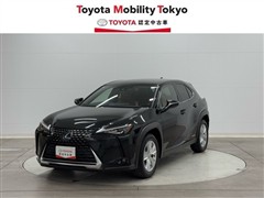 UX250h バージョンC