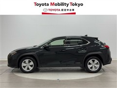 UX250h バージョンC