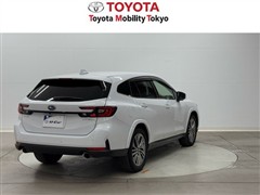 レヴォーグレイバック LTD EX