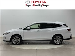 レヴォーグレイバック LTD EX