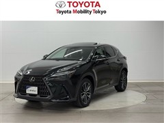 NX250 バージョンL