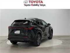 NX250 バージョンL